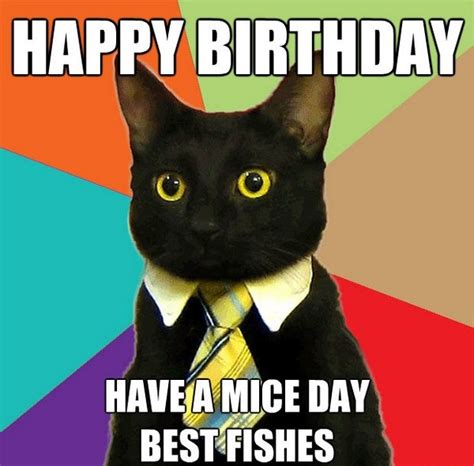 Incredible Happy Birthday Memes For You Top Collections