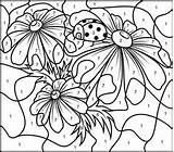Coloring Flowers Camomile Hard Difficult Zahlen Mosaik Resultado Designlooter Toucan Coloritbynumbers sketch template