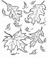 Coloring Fall Leaves Pages Kids sketch template