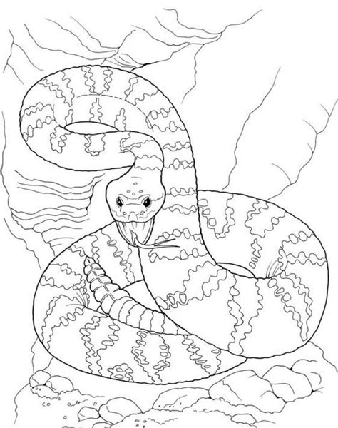 colouring pages  kids snake clip art library