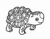 Coloring Tortoise Desert Hare Pages Galapagos Gopher Getcolorings Getdrawings Color Gophers Colorings sketch template