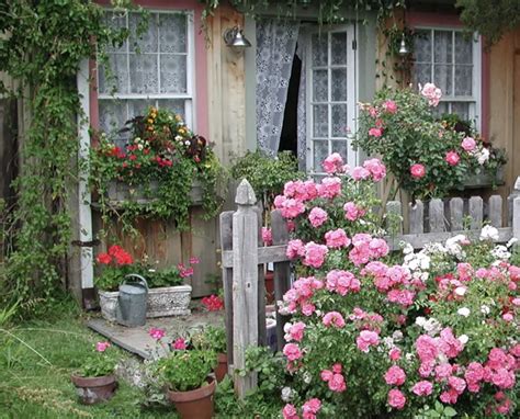 create  cottage garden   easy steps anthony tesselaar plants
