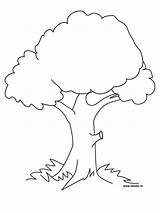 Coloring Pages Tree Flower Sheets Choose Board Kids Trees sketch template