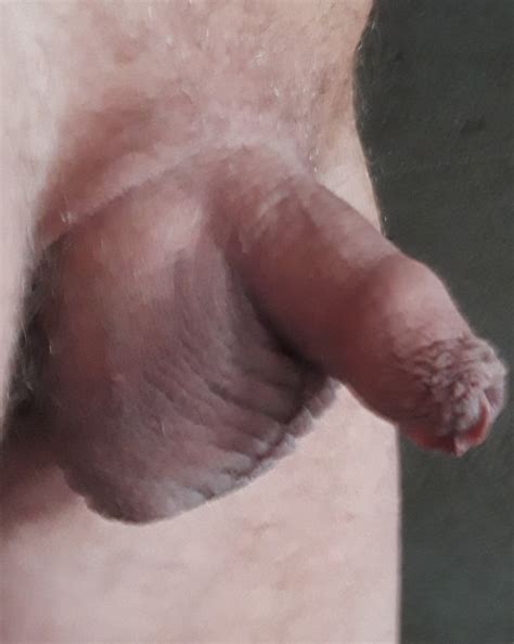 Small And Average Uncut Cock Collection 71 Pics Xhamster