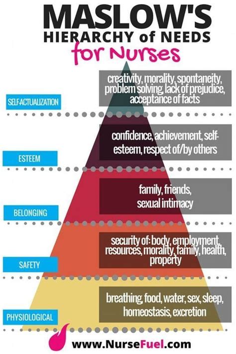 fundamentals of nursing maslow s hierarchy of needs nursingschool