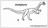 Coelophysis Dinosaurs Coloring Online Pages Color Coloringpagesonly sketch template