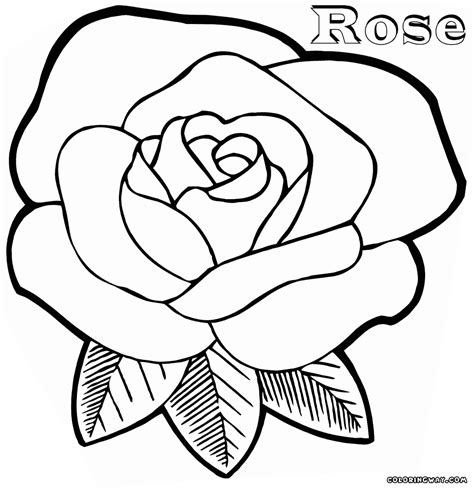 rose coloring pages coloring pages    print