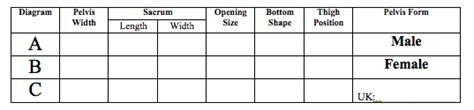 phys how do male and female skeletons zannie s science page