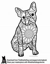 Coloring Pages Terrier Highland West Getcolorings Boston sketch template