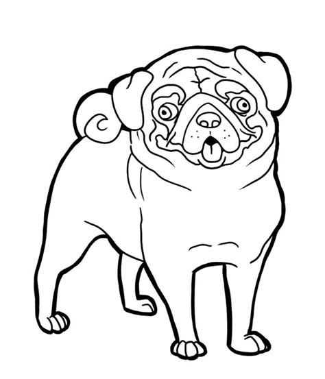 dog face coloring page  getcoloringscom  printable colorings