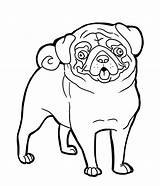 Pug Pugs Getcolorings sketch template