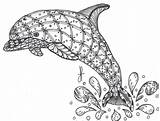 Dolphin Zentangle Mandalas sketch template