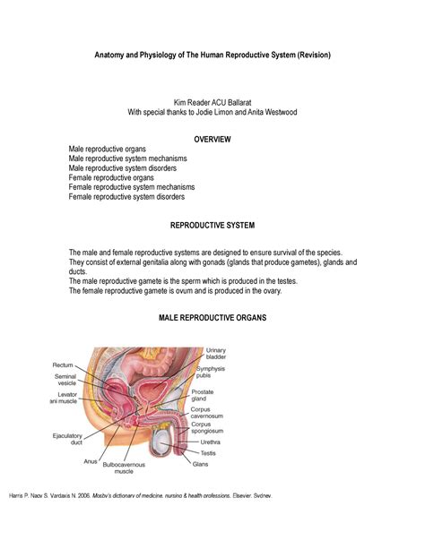 Anatomy And Physiology Of Human Reproductive System