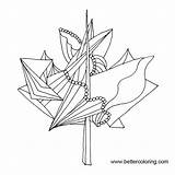Pages Coloring September Maple Canadian Leaf Printable Adults Kids sketch template