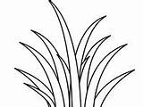 Grass Coloring Pages sketch template