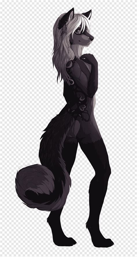 free download gray wolf furry fandom werewolf black wolf werewolf