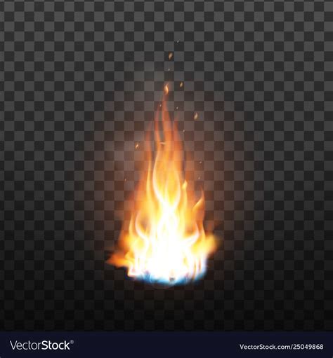 animation burning fire  sparks effect vector image