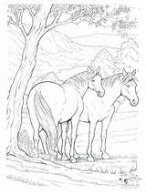 Coloring Horseman Headless Pages Getcolorings Horse Print sketch template