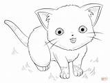 Anime Coloring Cat Pages Drawing Cute Animals Draw Chibi Outline Printable Easy Step Supercoloring Manga Color Kids Tutorials Getdrawings Popular sketch template