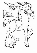Coloring Pages Horse Animated sketch template