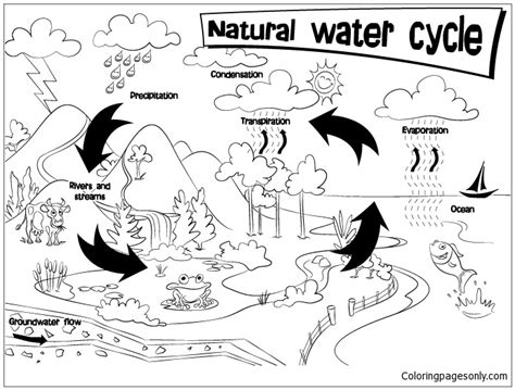 natural water cycle coloring page  printable coloring pages
