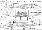 Thunderbolt Fairchild A10 Airplanes Blueprints Jet Warthog Rcgroups Desing Technical Building Developing Flight Balsa sketch template
