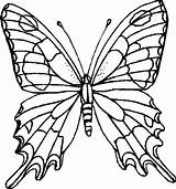 Farfalle Butterflies Mariposa Coloratutto Stencils sketch template