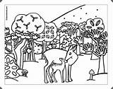 Kostenlos Malvorlagen Ausdrucken Waldtiere Patriziainesroggero Regenwald Warna Wälder sketch template