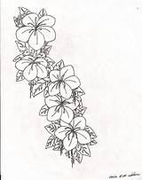 Tattoo Flower Designs Drawing Drawings Lily Draw Clipart Flowers Vampire Irish Step Beginners Easy Outlines Library Deviantart Sketch Getdrawings Harunmudak sketch template