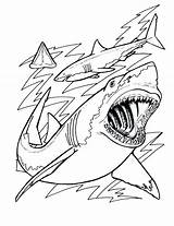 Jaws sketch template