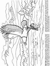 Coloring Pages Dover Patterns Publications Line Transfer Welcome Books Doverpublications sketch template