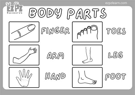 pin  worksheets body parts coloring pages  kids coloring home