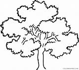 Coloring4free Coloring Tree Pages Printable Related Posts sketch template