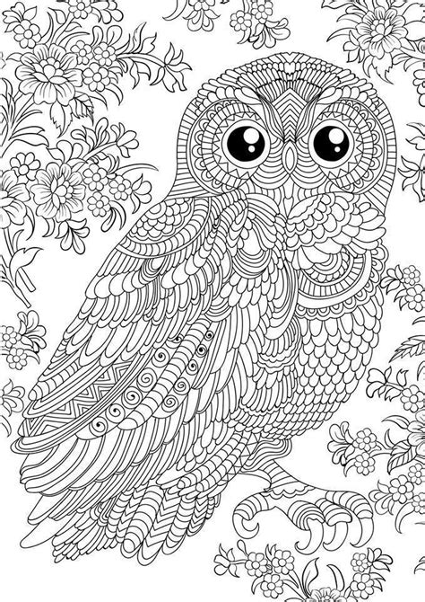 top  printable owl coloring pages  adults   owl coloring