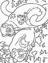 Kleurplaat Apen Kleurplaten Monkeys Affen Stemmen Calendar sketch template