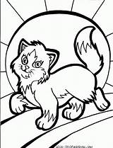Coloring Cat Pages Kids Printable Cute Walking Print Cats Colouring Soon Well Puppy Color Sheets Rich Animal Kitten Calico Book sketch template