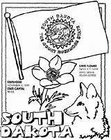 Coloring Pages Dakota South State Crayola Flag Symbols Washington States Rushmore Kentucky Carolina Mount Color North California Arkansas Houston Derby sketch template
