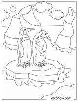 Penguins Verbnow Penguin sketch template