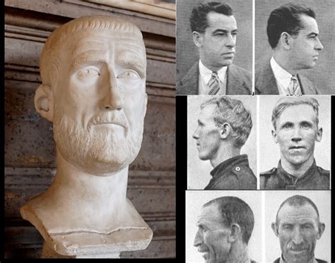 the elite of ancient greece rome were not nordic