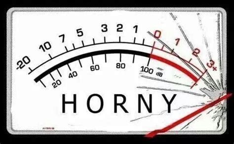 the horny o meter very funny haha pinterest adult humor sex quotes och naughty quotes