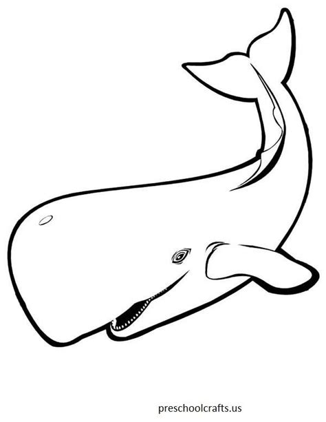 whale coloring pages  preschool preschool  kindergarten whale