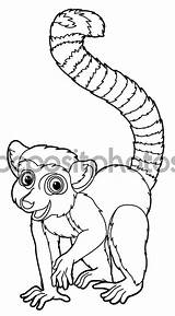 Coloring Pages Lemur Animals sketch template