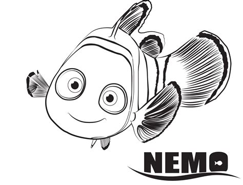 finding dory coloring pages educative printable