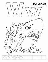 Whale Coloring Handwriting Practice Pages Popular sketch template