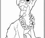 Lei Coloring Dog sketch template