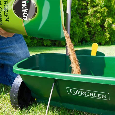miracle gro evergreen fast green lawn feed  ample