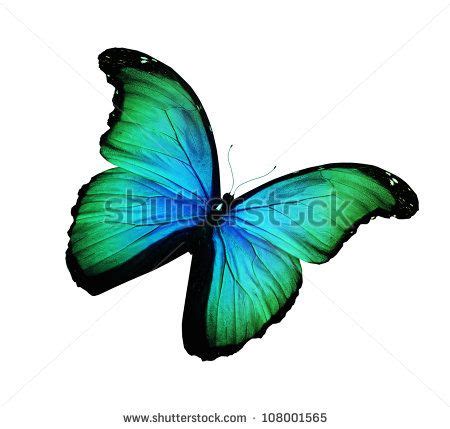 green butterfly tattoo google search animal cutouts butterflies