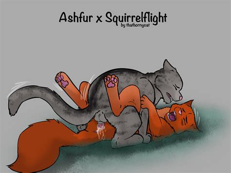 Post 3018472 Ashfur Thathornycat Warrior Cats Squirrelflight