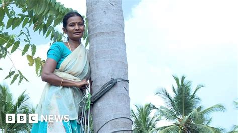 indian female coconut picker a sari would weigh you down bbc news