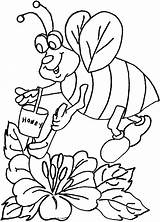 Coloring Pages Bee Honey Flower Bees Drawing Clipart Bumblebee Queen Printable Homies Kids Drawings Getdrawings Library Collects Printables Animal Parentune sketch template